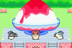 screenshots/Game Boy Advance/Hamtaro - Rainbow Rescue/Hamtaro - Rainbow Rescue (Eng) 079.png